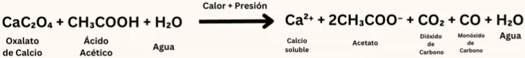 TURMERIACTIVE Blends - Química Descomposición