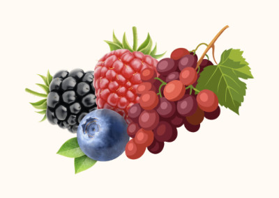 TURMERIACTIVE Blends - Beneficios del Resveratrol
